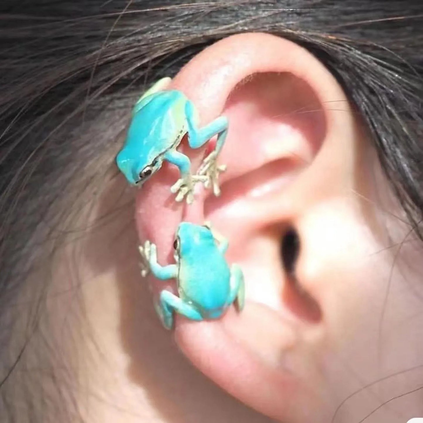 Green Tree Frog Jewelry