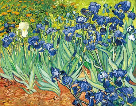 Vincent van Gogh 'Irises' Wall Art - Art Store